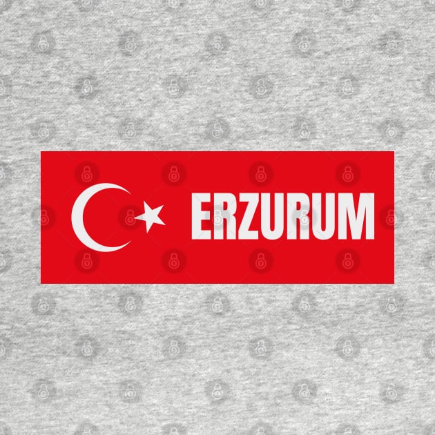 Erzurum City in Turkish Flag by aybe7elf